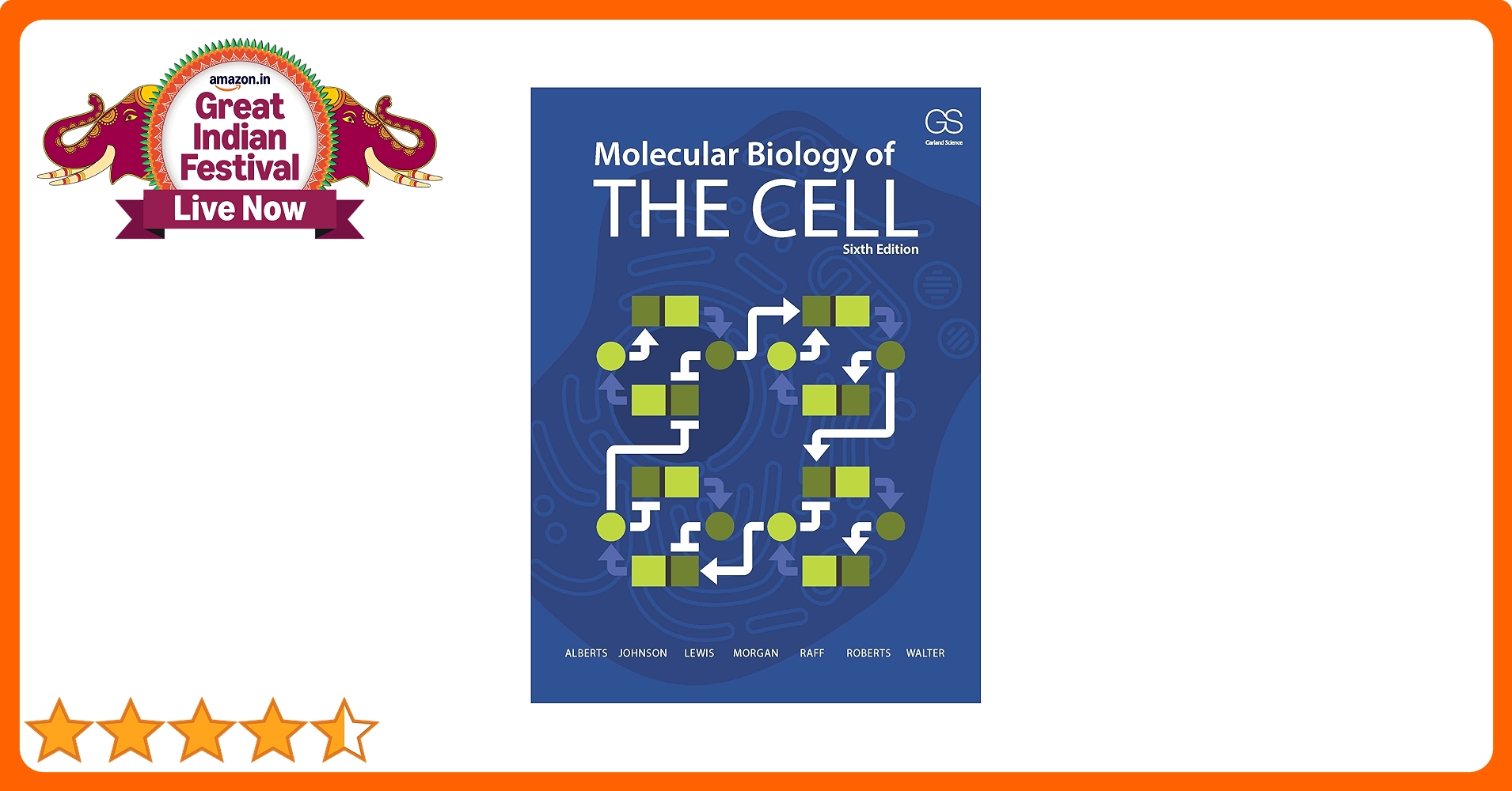 Molecular Biology of THE CELL 第6版 細胞の分子生物学 第6版 | ALBERTS, JOHNSON, LEWIS, MORGAN